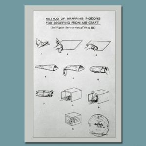 Wrapping Pigeons